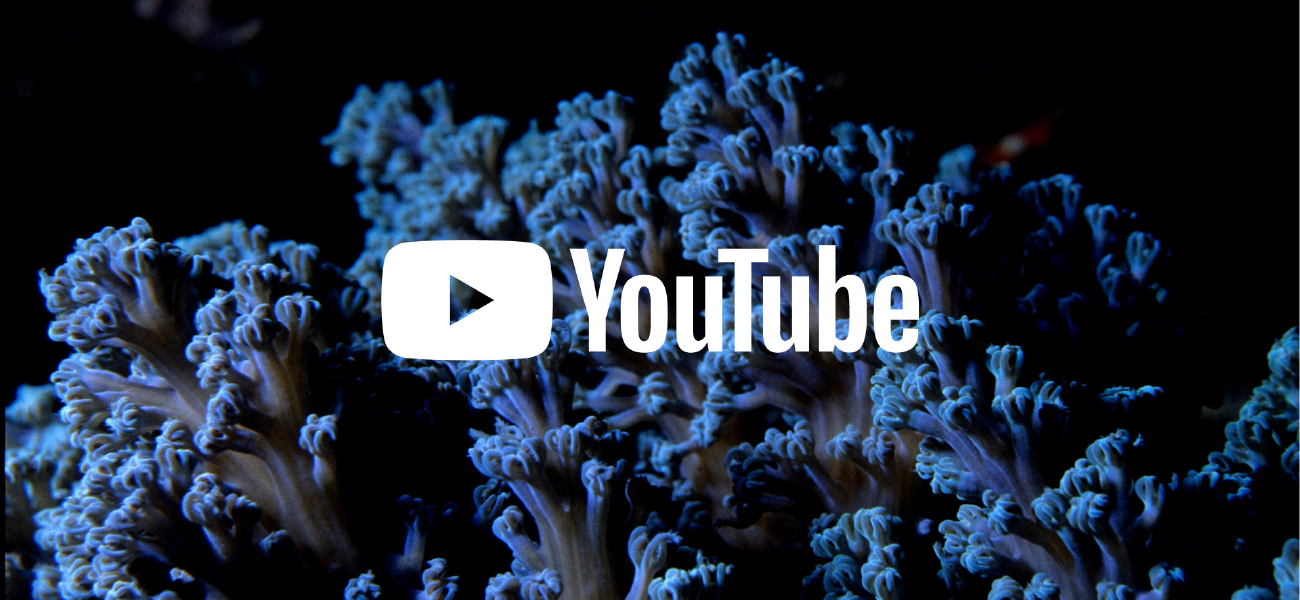 How to upload a video on Youtube with NodeJS